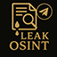 leakosint лого